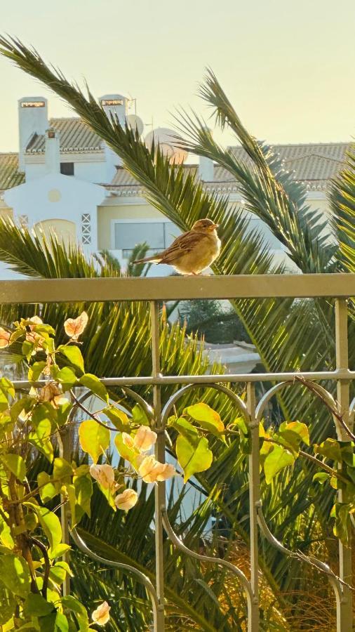 Amazing 2 Bedroom Apartment Near Beach With Pool Lagos Eksteriør bilde